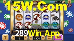 Programa VIP 289Win App