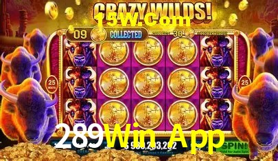 Promoção Relâmpago 289Win App