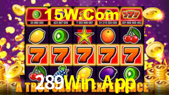 Interface Premium 289Win App